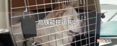 高铁能托运狗吗