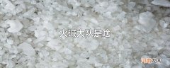 火碱大队是啥