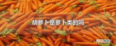 胡萝卜是萝卜类的吗