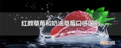红颜草莓和奶油草莓口感区别