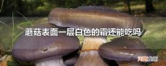 蘑菇表面一层白色的霜还能吃吗