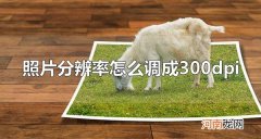 照片分辨率怎么调成300dpi 什么是dpi