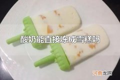 酸奶能直接冻成雪糕吗 酸奶可以直接冻成雪糕