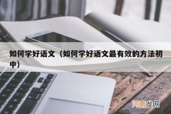 如何学好语文最有效的方法初中 如何学好语文
