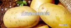 土豆是优质碳水吗