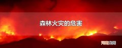 森林火灾的危害