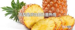 凤梨是凉性的还是热性