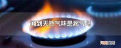 闻到天然气味是漏气吗