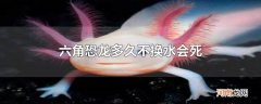六角恐龙多久不换水会死