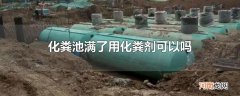 化粪池满了用化粪剂可以吗