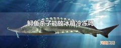 鲟鱼杀了能放冰箱冷冻吗