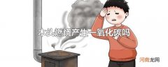 木头燃烧产生一氧化碳吗