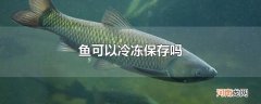 鱼可以冷冻保存吗