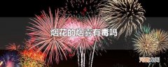 烟花的烟雾有毒吗