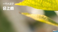 节日问候语 节日问候语图片大全动态图片