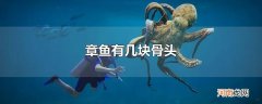章鱼有几块骨头