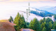 花朵的好词好句摘抄 关于花的摘抄好词好句