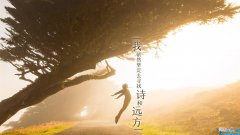 规则的名言语句 规则的格言