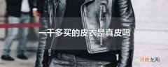 一千多买的皮衣是真皮吗