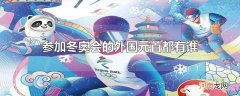参加冬奥会的外国元首都有谁