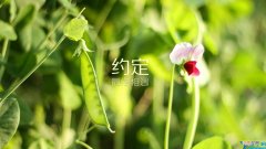 调侃自己胖的幽默句子 胖子调侃自己的幽默句子