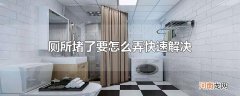 厕所堵了要怎么弄快速解决