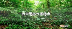 热带雨林气候特点
