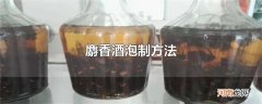 麝香酒泡制方法