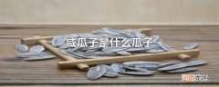 咸瓜子是什么瓜子