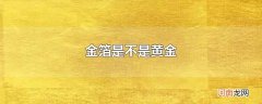 金箔是不是黄金