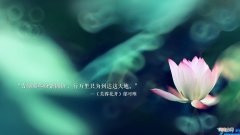 超甜的情话 超甜的情话图片