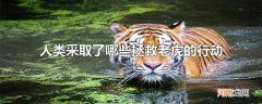 人类采取了哪些拯救老虎的行动