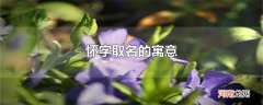 怀字取名的寓意