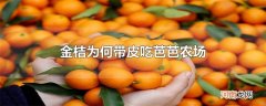 金桔为何带皮吃芭芭农场