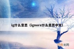 ignore什么意思中文 ig什么意思
