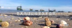 冬天海螺能放多久不会死