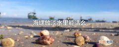 海螺放淡水里能活么