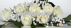 婚前试婚是什么意思