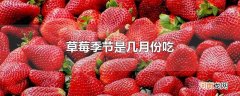 草莓季节是几月份吃