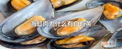海虹肉为什么有白有黄