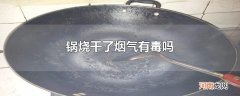 锅烧干了烟气有毒吗