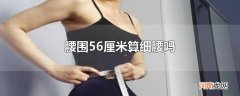 腰围56厘米算细腰吗