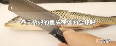 冬天杀好的鱼放在外面会坏吗