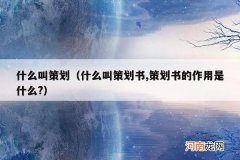 什么叫策划书,策划书的作用是什么? 什么叫策划