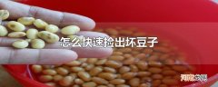 怎么快速捡出坏豆子