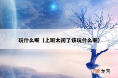上班太闲了该玩什么呢 玩什么呢