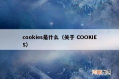 关于 COOKIES cookies是什么