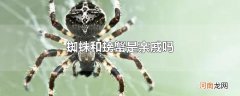 蜘蛛和螃蟹是亲戚吗