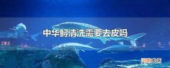 中华鲟清洗需要去皮吗