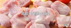 鸡胗子是哪个部位